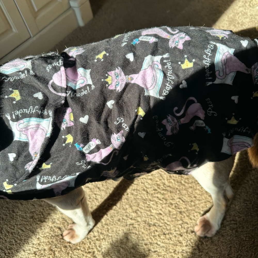 Homemade Dog Jacket *Most Beautiful Dog Model Not Included*